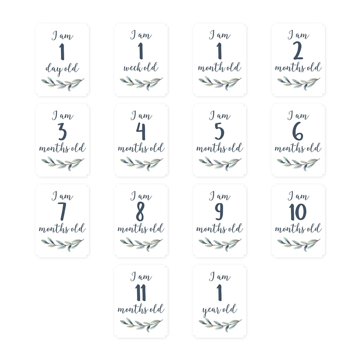 Bed Sheets - Item 0011589 T3