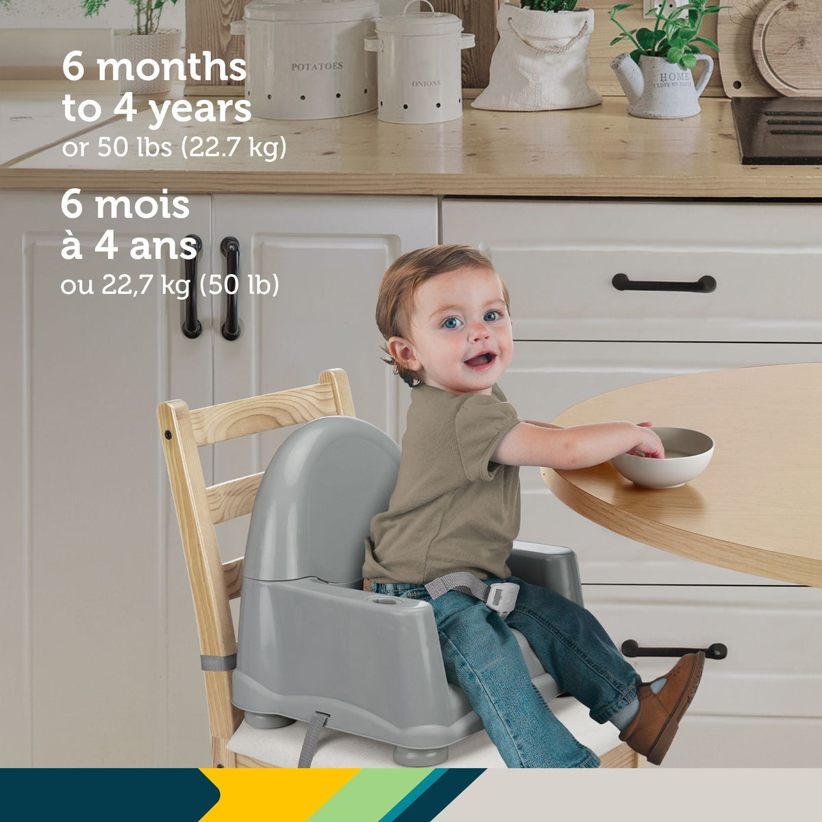 Feeding Essentials - Item 0011941 V9