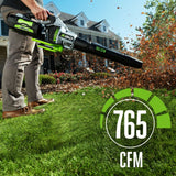 Leaf Blower, 56V, Cordless - Item 0003339 D7