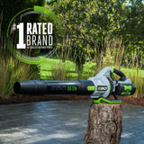 Leaf Blower, 56V, Cordless - Item 0003339 D7
