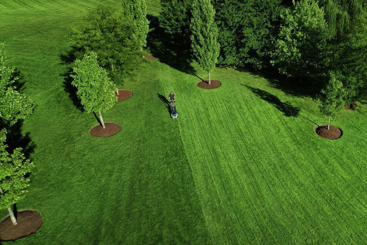 Cordless Lawn Mowers, 56V, 21-in, 10Ah, 700W, Brushless, Self-propelled - Item 0002986 Q4