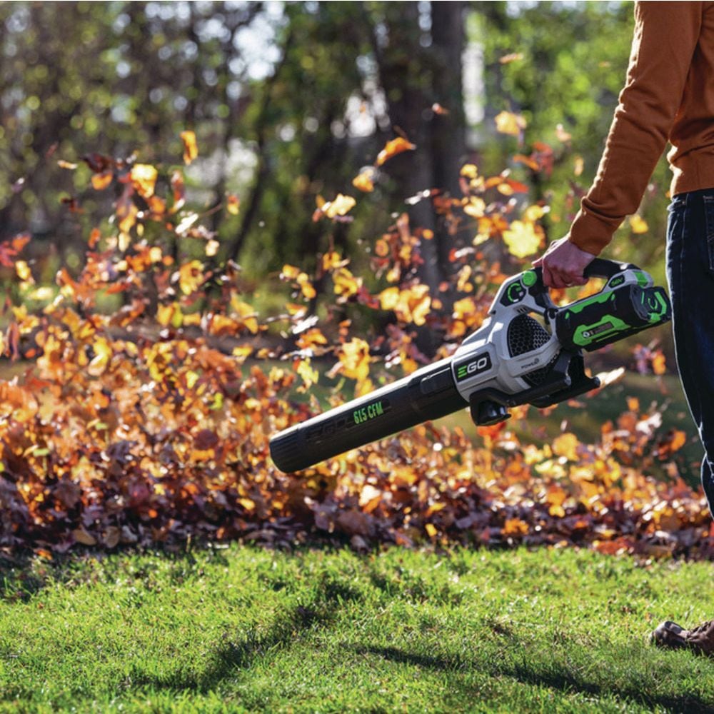 Cordless Leaf Blowers, 56V, 2.5Ah, 210W, Brushless - Item 0003332 J0