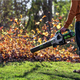 Cordless Leaf Blowers, 56V, 2.5Ah, 210W, Brushless - Item 0003332 J0