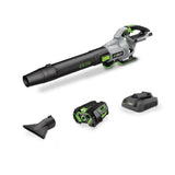 Leaf Blower, 56V, 4.0Ah, 320W, Brushless, Cordless - Item 0003319 A9