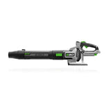 Leaf Blower - Item 0003363 M4
