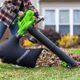 Leaf Blower, 60V, 4Ah - Item 0003354 Q5