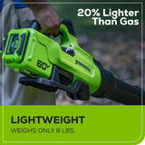 Leaf Blower, 60V, 2.5Ah - Item 0003330 Y7