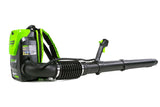 Leaf Blower, 60 V - Item 0003353 O8