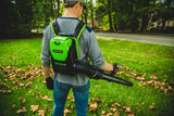 Leaf Blower, 60 V - Item 0003353 O8