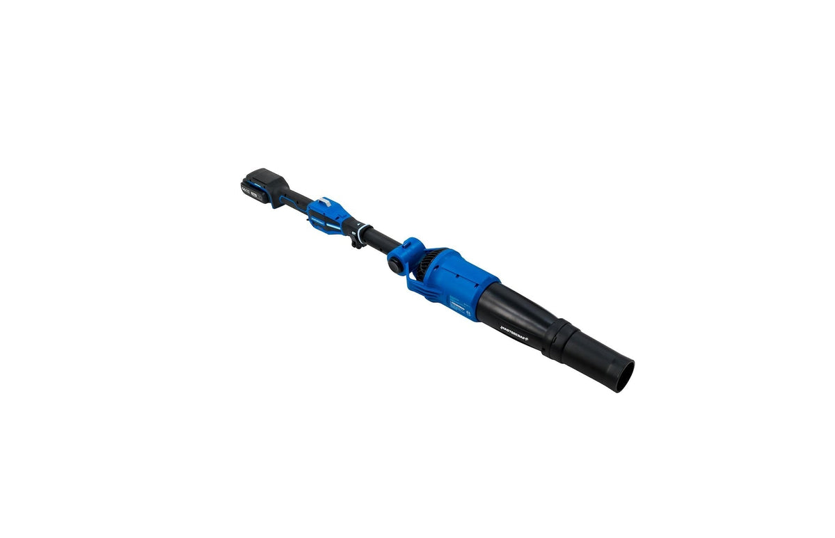 Leaf Blower, Adjustable - Item 0003362 D5