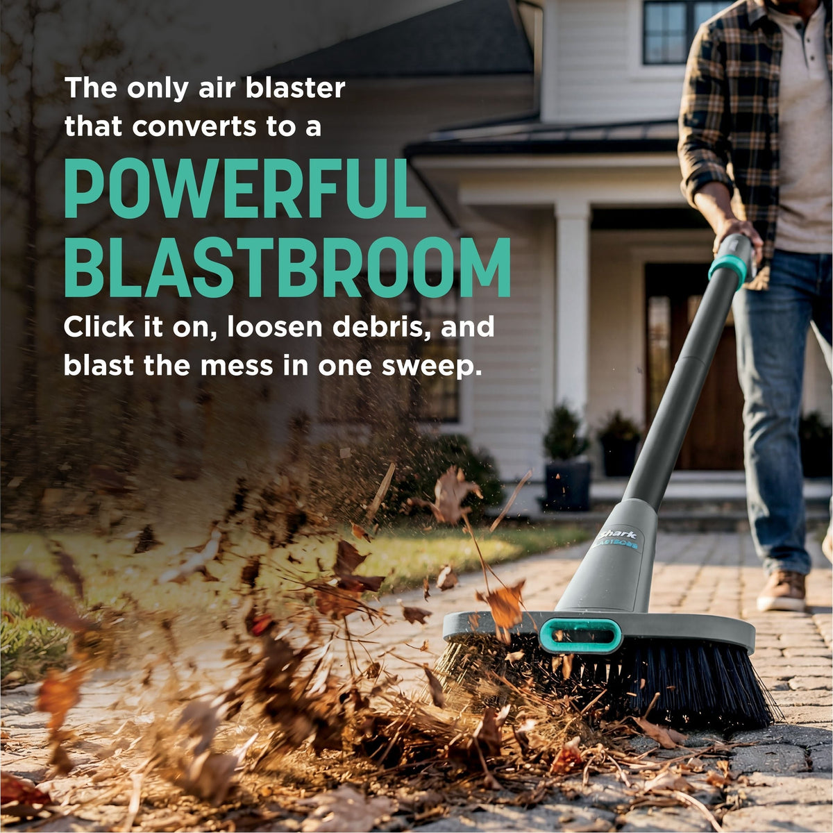Leaf Blower, Indoor, Outdoor - Item 0003346 P2