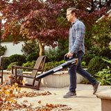 Cordless Leaf Blowers, 20V - Item 0003331 D8